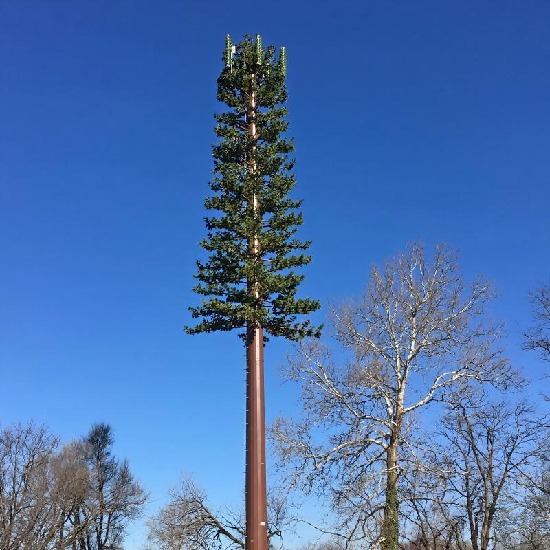 Eco-Friendly Camouflaged Bionic Pine Tree Tower for 5G Wireless Network