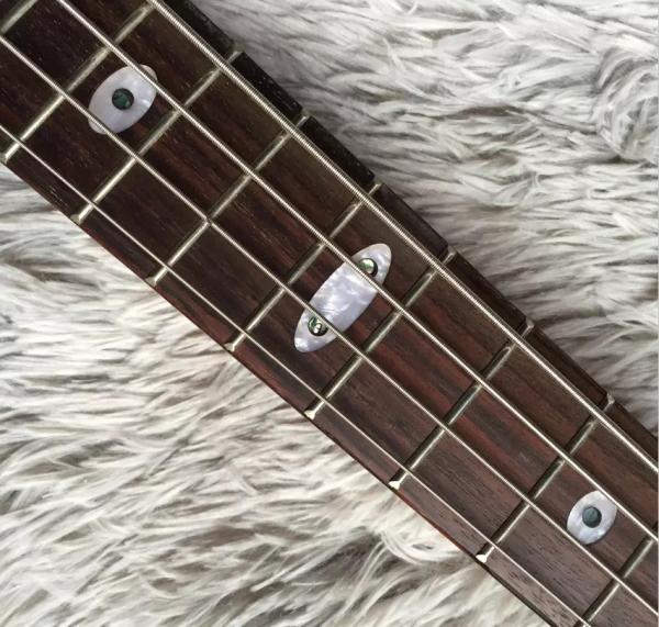 Custom 4 Strings Neck Through Body Alembic Style Electric Bass Guitar Tree Burl Top