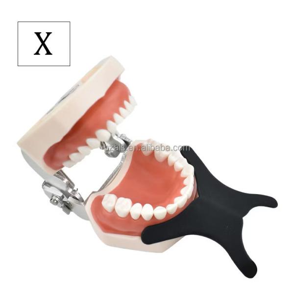 Dentiste professionnel Autoclavable Silicone Contraste photographique Contraste oral doux Contrasteur de fond Carton de photographie Durée de conservation 2 ans