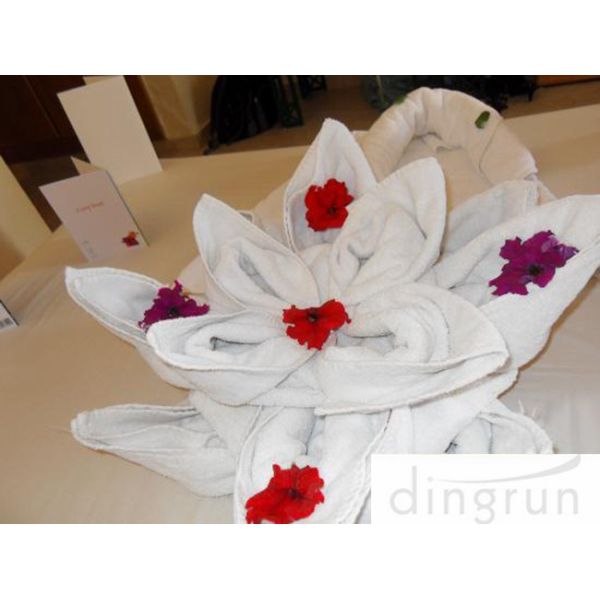 Dry Fast Premium Cotton Face Washer Towel Cloths For Hotel , Environmental Friendly