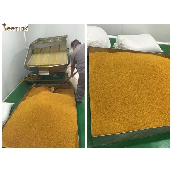 Amarelo grande dos grânulo do pólen misturado fresco da abelha do girassol