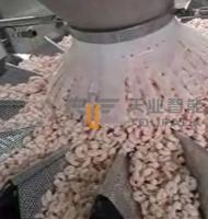 Certificat de pesage automatique de la CE de système de machine à emballer d'aliments surgelés du SUS 304