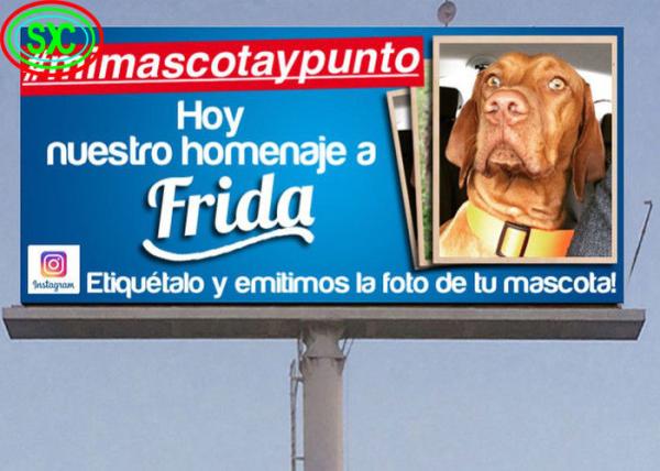 A cor completa alta de exposição de diodo emissor de luz do RGB da definição com morre o armário do alumínio de molde, UL do FCC alistado
