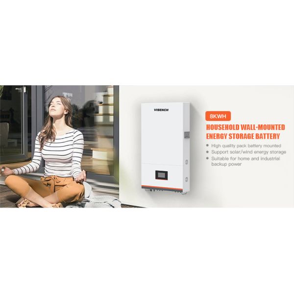 Visench 51.2V 160AH LiFePO4 Литий-ионная батарея для хранения солнечной энергии и 220V 5000W инвертор Все в одном устройстве Солнечные системы