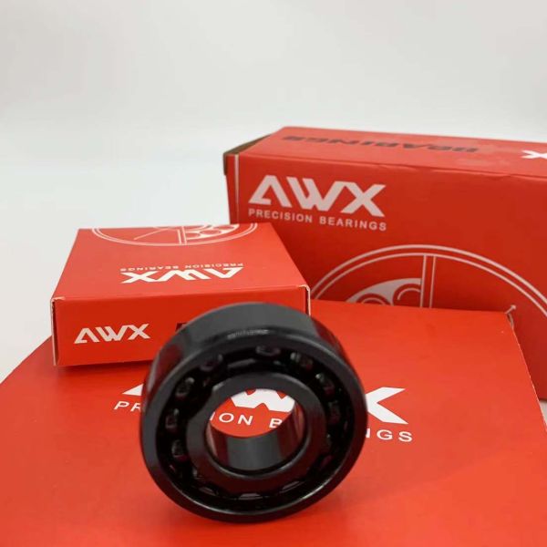 970309 Ceramic Bearings