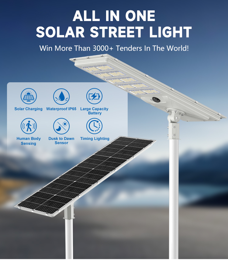 Smart Remote Control All-in-One Solar Street Light MPPT Controller Dusk to Dawn