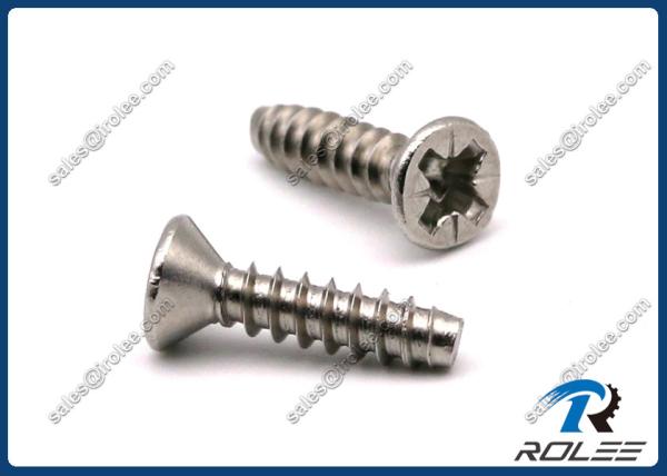 304/316 Stainless Steel Pozi Countersunk Head Tapping Screws for Plastics