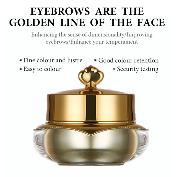 Макияж брови постоянный пигментирует академию чернил татуировки смеси GMT косметическую Perma