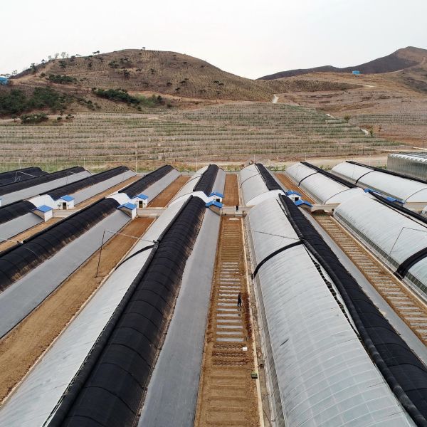 Durable Farm Frost - Resistant Agriculturer Nonwovens for Greenhouse & Field Use