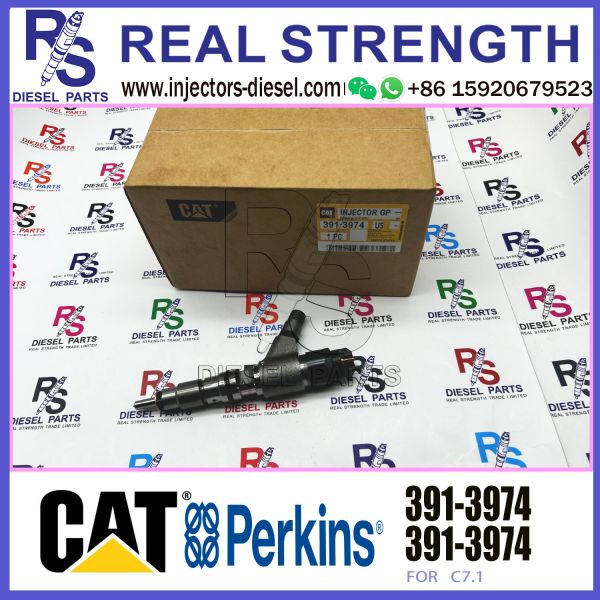 Канатный экскаватор Инжектор топлива для железнодорожного транспорта 0445120348 20R-4560 391-3974 Для автомобиля C-AT