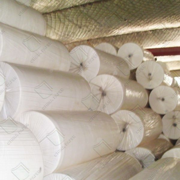 Premium Soft Toilet Paper,Eco-Friendly,Hypoallergenic