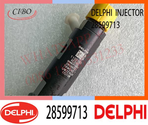 28599713 DELPHI Injetor de Combustível Common Rail 1100100XED95 1100100X-ED95