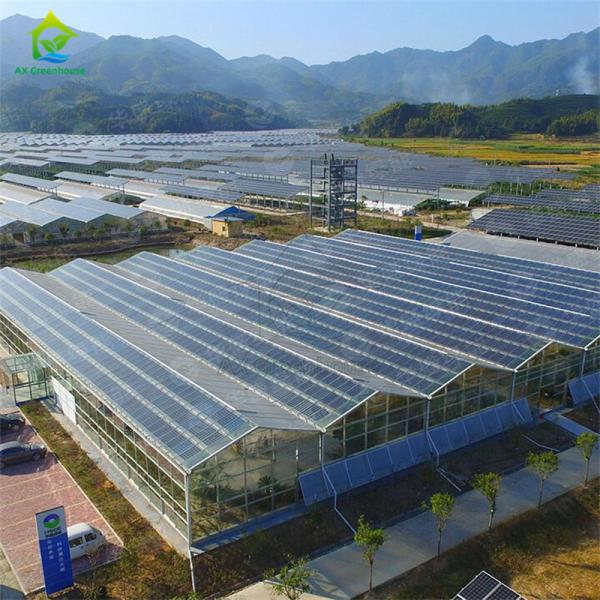 Modern intelligent Venlo polycarbonate panel multi-span solar photovoltaic greenhouse