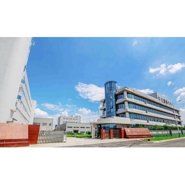 Automotive Industry Achieve Optimal Performance With Fluorinated Rubber Gasket