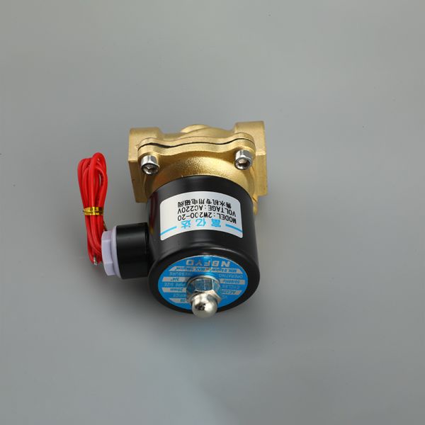 Water Solenoid Electric Valve 24 V/220V 1/2