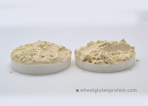 Hamburgers Sandwich Organic HALAL Gluten Protein Powder