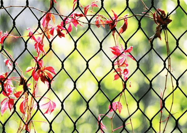 7X7 Zoo Enclosure Mesh 4.0mm Knotted Type Black Knotted Stainless Steel Rope Mesh