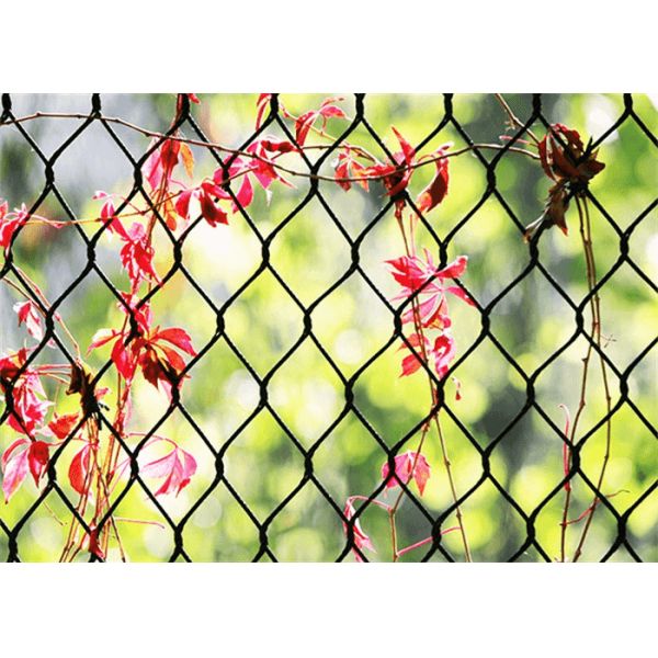 Ferruled Black Oxide Wire Rope Mesh 7X19 Rhombus Security Mesh Fencing Stainless Steel