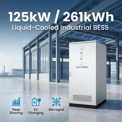 Commercial & Industrial BESS with 85000+ Cycles, 50 KW To 1 MW Power Output, and