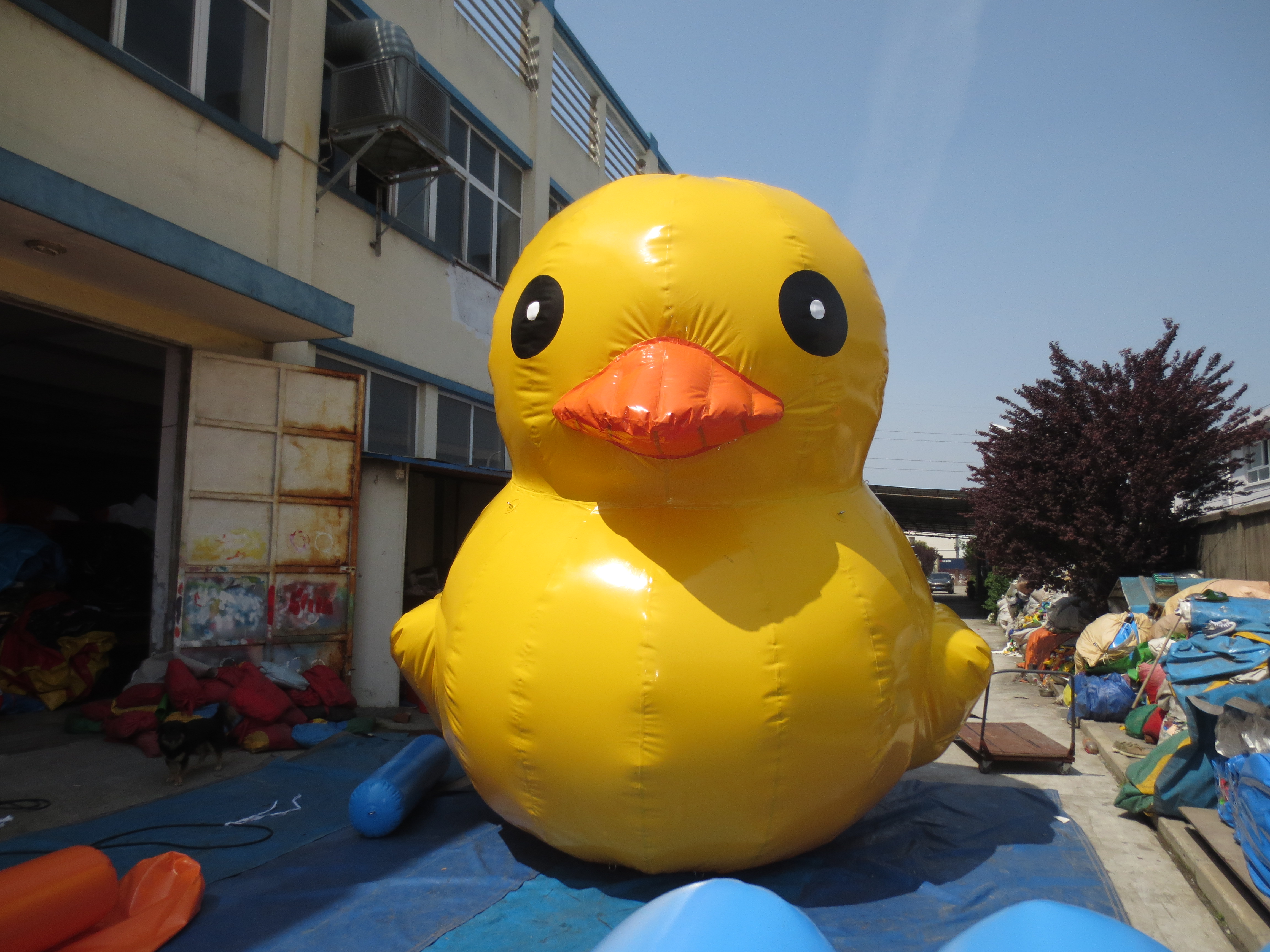Hot Sell Big Yellow Rubber Duck Cartoon Model for Inflatable Advertising/ Funny Inflatable Toys for Kids/Inflatable Cartoon