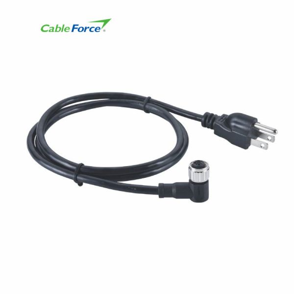 Кода M12 s контактный разъем 3 к NEMA 5-15P отлило кабель в форму 14AWG