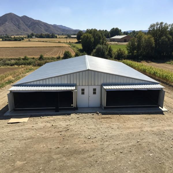Hot-Dip Galvanized Steel Prefabricated Chicken House with 15-20 Year Service Life and Modular Structure