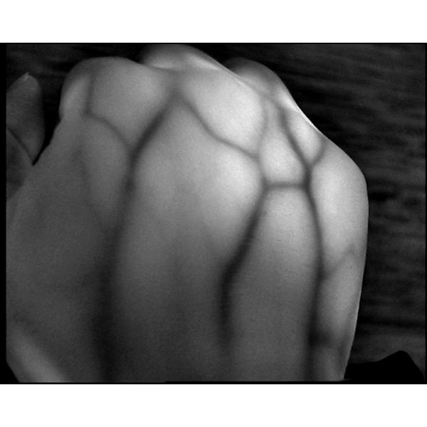 Buscador infrarrojo de la vena del dispositivo micro médico del CE sin el laser