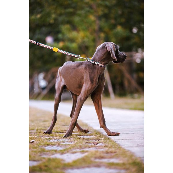 0.9m 3 Foot Halloween Anti Pull Dog Leash Accessories Heavy Polyester Rope Totem