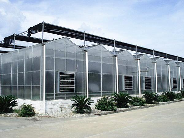 Flower Multi Span Greenhouse / Venlo Style Greenhouse Cover Material Polycarbonate Sheet