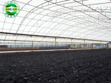 Insoluble Nitro Humic Acid Granules Humic Acid Granular Fertilizer For Agriculture Gardening
