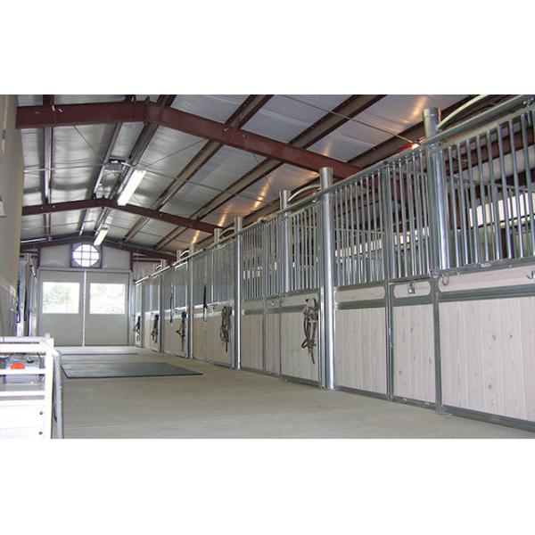 Prefab Indoor Metal Free Span Light Steel Structure Frame Horse Riding Arena Hall Building