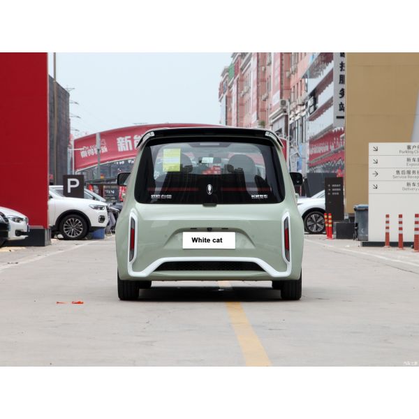 Pure Electric 48 Horsepower ORA White Cat 305km Range 4-Seater Hatchback Energy Vehicle 0km Used Mini Electric Car Adult