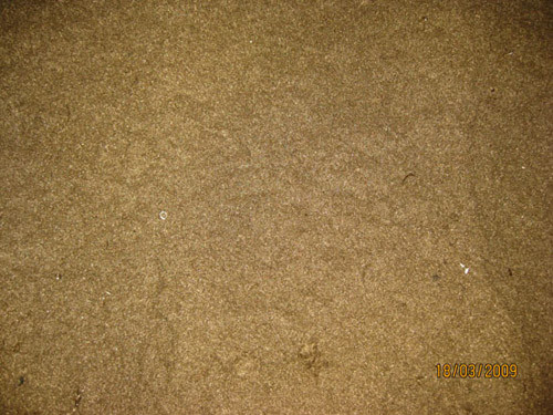Copper Powder