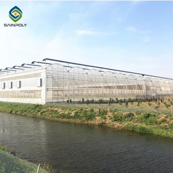 Commercial 200 Micron Film 0.50KN/M2 Multi Span Greenhouse
