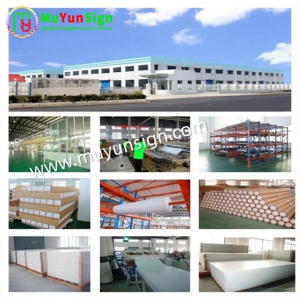 Vehicle Graphics Advertisement Digital Printing Vinyl Self Adhesive