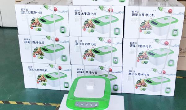 Smart Clean Household Ultrasonic Cleaner , 110V  Or 220V Easy Home Ultrasonic Cleaner