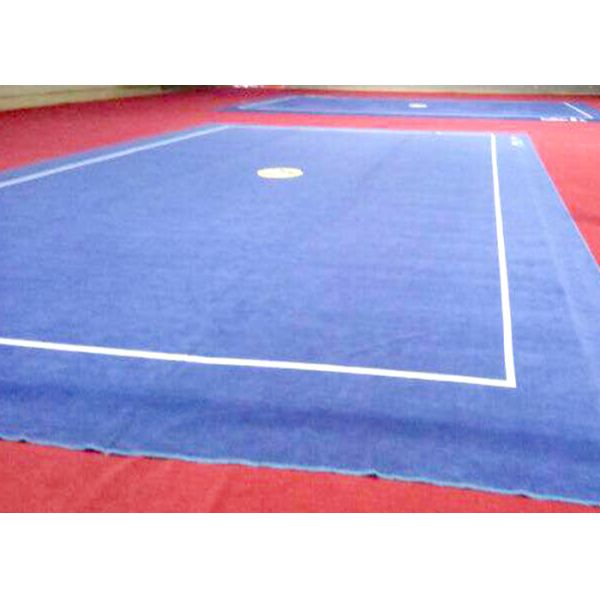 Циновки тренировки гимнастики ковра Таолу конкуренции ИВУФ для тренировки Ушу