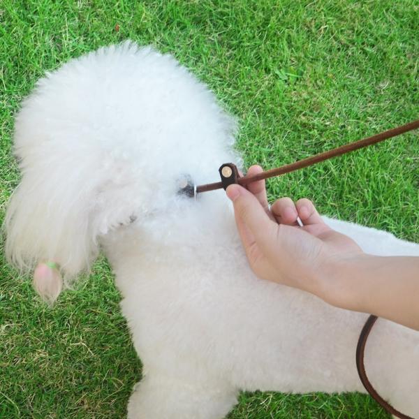 2 In 1 Real  Leather Pet Collar Quick Release Adjustable Lightweight Ultra Thin