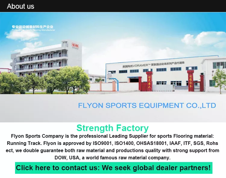 20m*10m Size Eco-friendly Padel Court with Hot Galvanized Steel Structure for Outdoor Sports