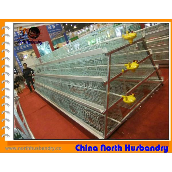 High quality poultry farm equipment for sale
