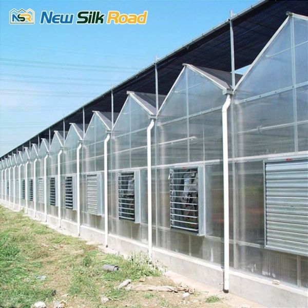 Spray Irrigation Commercial Greenhouse with Polycarbonate Frame and Waterproof Design
