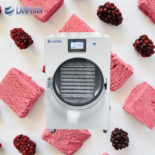 Freeze Drying Equipment Household Freeze Dryer Machine Freeze Dry Machine For Home