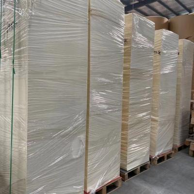 O PE descartável das matérias primas 210gsm do copo de papel revestiu o papel na folha