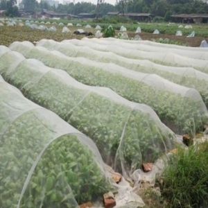 3-5m Insect Net Mesh 40 50 Mesh For Greenhouse Garden Insect Screen Mesh