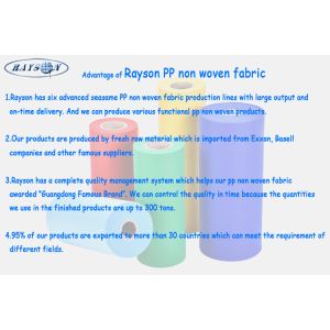 FOSHAN RUIXIN NON WOVEN CO.,LTD