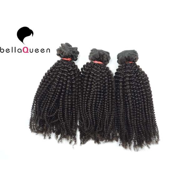 Full End Indian Virgin Hair Kinky Curly Natural Black 1b Human Hair Weft