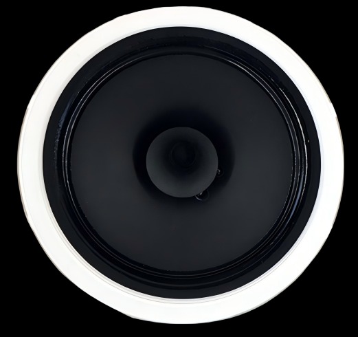 FL-80 8 Inch Cost Effective Ceiling Speaker New Design Rimless 10W/5W  100V ABS Plastic Ceiling Speaker