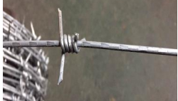 Auto Operate Double Strand Razor Wire Machine Durable Barbed Wire Machine