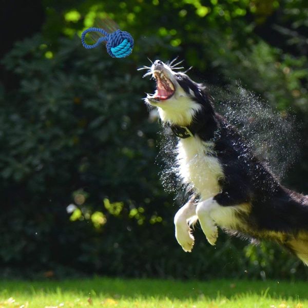 Игрушки собаки взаимодействующей веревочки требующие усиленного жевания неуничтожаемые для средства к большим щенятам пород