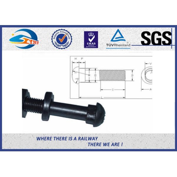 Parafusos de aço carbono e porcas, parafuso preto da estrada de ferro do óxido para a placa de peixes